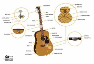guitar neck parts diagram