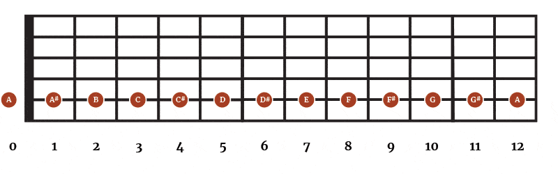 Notes on the 5th String